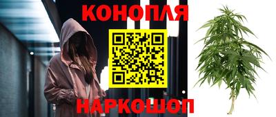 PSILOCYBIN Гай