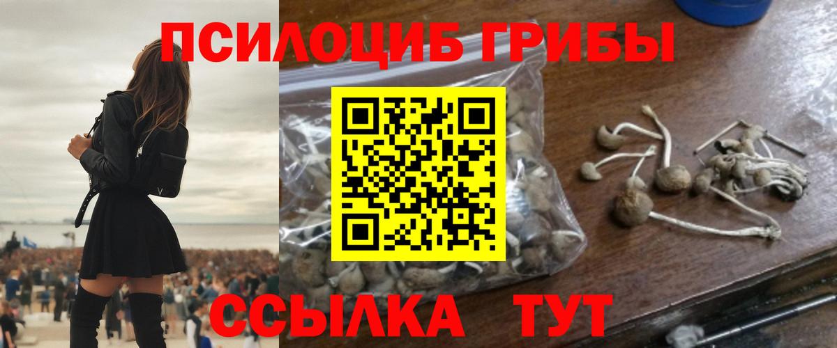 Щёкино  Галлюциногенные грибы Magic Shrooms  Вход с VPN 