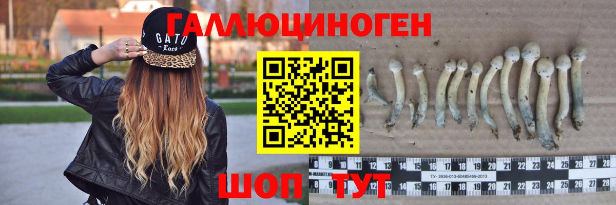 Галлюциногенные грибы мицелий Щёкино